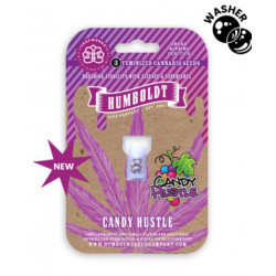 Candy Hustle Fem (HmbSC) NEW 2026