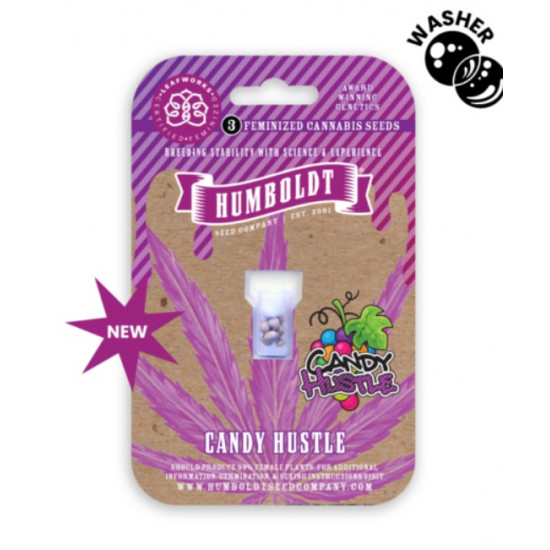 Candy Hustle Fem (HmbSC) NEW 2026