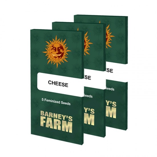 Cheese fem (Brn) Cheese fem (Brn)