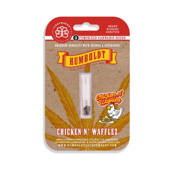 Chicken n’ Wafflez Fem (HmbSC) NEW 2025 Chicken n’ Wafflez Fem (HmbSC) NEW 2025