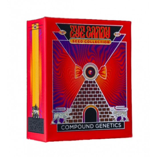 Chrome Dome fem (CG / ECL)