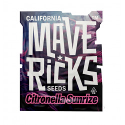 Citronella Sunrize Auto autofem (Mvr)