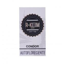 Condor Auto autofem (Rk)