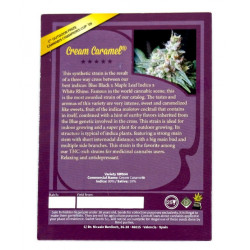 Cream Caramel fem (SwS)