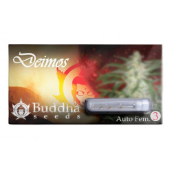 Deimos Auto autofem (BudS)
