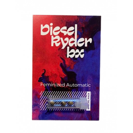 Diesel Ryder BX autofem special pack (DctCh)