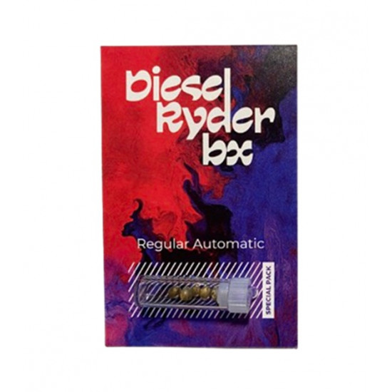 Diesel Ryder BX autoreg special pack (DctCh)