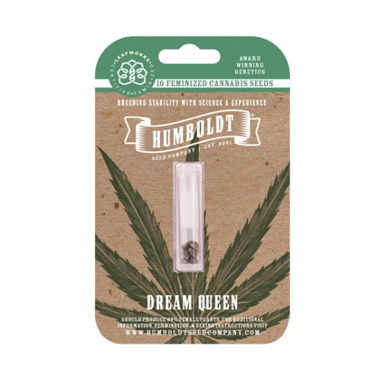 Dream Queen fem (HmbSCo)