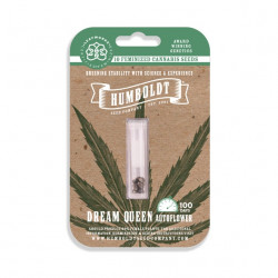 Dream Queen Auto autofem (HmbSCo)