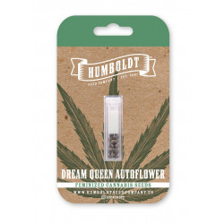 Dream Queen Auto autofem (HmbSC)