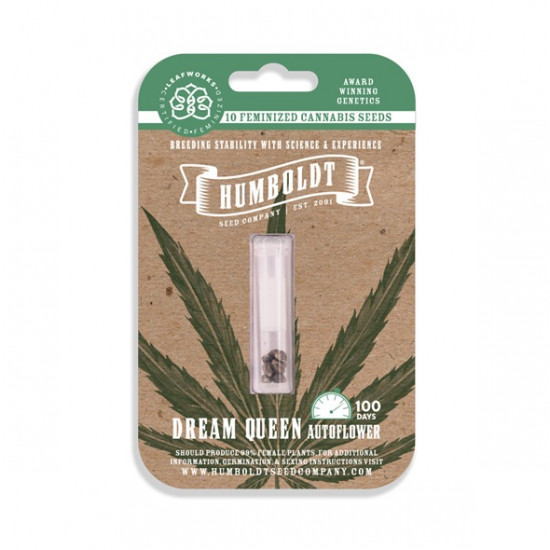 Dream Queen Auto autofem (HmbSCo)