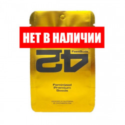 Purple Lemonade FF fem (FsBd)