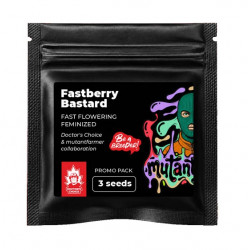 Fastberry Bastard fast fem (DctCh_BAB_MF)