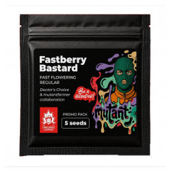 Fastberry Bastard fast reg (DctCh_BB_MF)