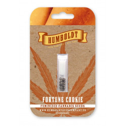 Fortune Cookie fem (HmbSCo)
