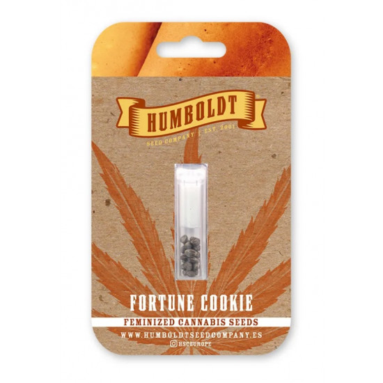 Fortune Cookie fem (HmbSCo)