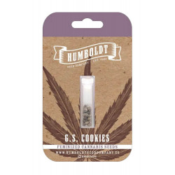 G.S. Cookies fem (HmbSCo)