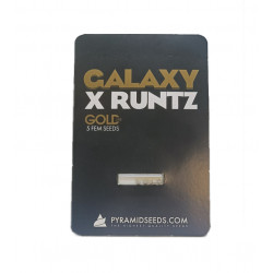 Galaxy x Runtz fem (Py)