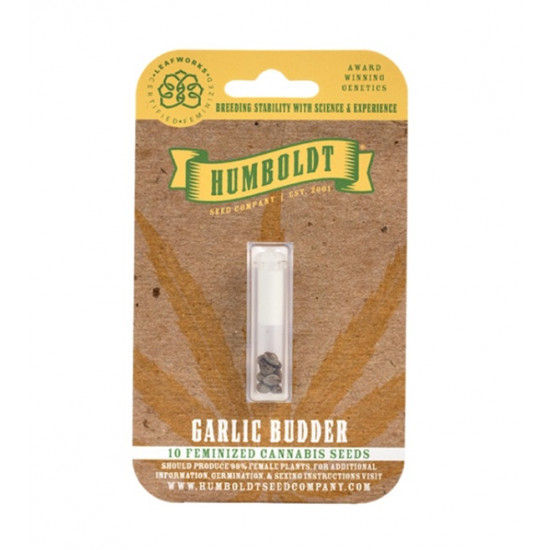 Garlic Budder Fem (HmbSC) Garlic Budder Fem (HmbSC)