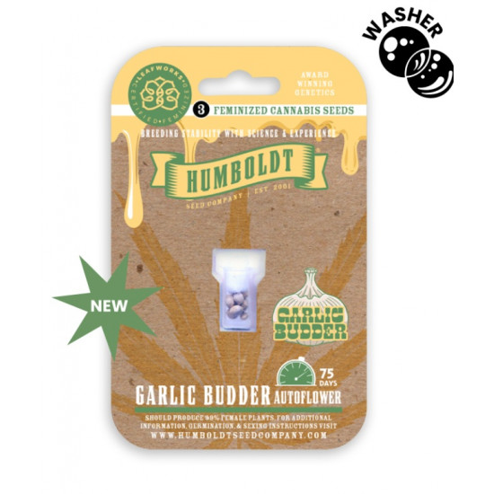 Garlic Budder Auto autofem (HmbSC) NEW 2026