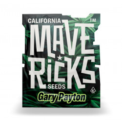 Gary Payton fem photofem (Mvr)