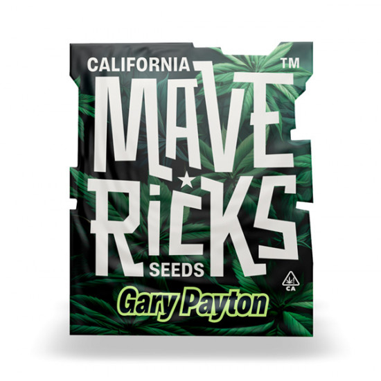 Gary Payton fem photofem (Mvr)