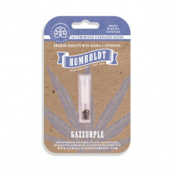 Gazzurple fem (HmbSCo)