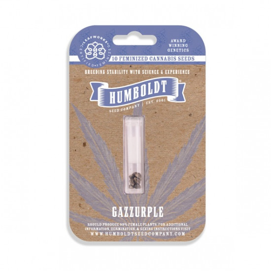 Gazzurple fem (HmbSCo)