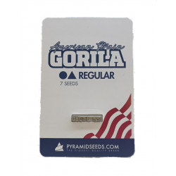 Gorila reg (Py)