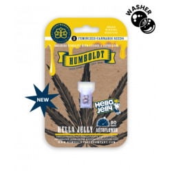 Hella Jelly Auto autofem (HmbSC) NEW 2026