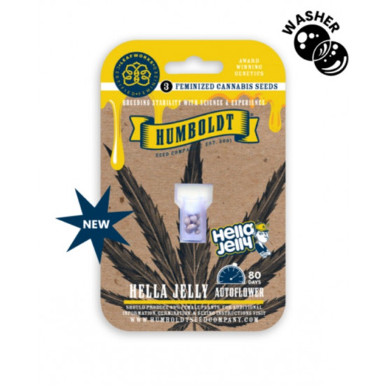 Hella Jelly Auto autofem (HmbSC) NEW 2026