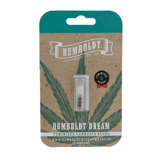 Humboldt Dream Fem (HmbSC)