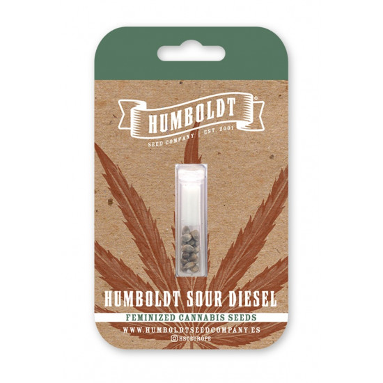 California Sour Diesel/ Humboldt Sour Diesel fem (HmbSCo)