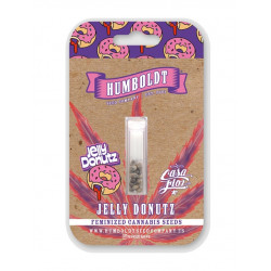 Jelly Donutz Fem (HmbSC)