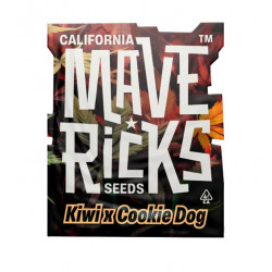 Kiwi x Cookie Dog Auto autofem (Mvr)