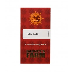 LSD Auto autofem (Brn)