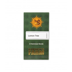 Lemon Tree fem (Brn)