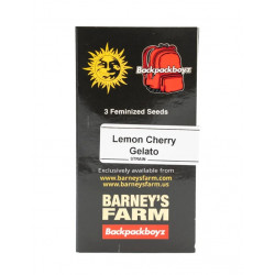 Lemon Cherry Gelato fem (Brn)