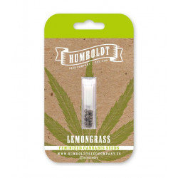 Lemongrass fem photofem (HmbSCo)