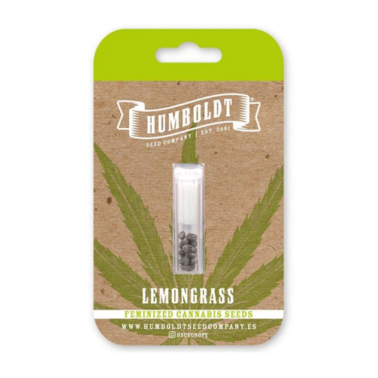 Lemongrass fem photofem (HmbSCo)