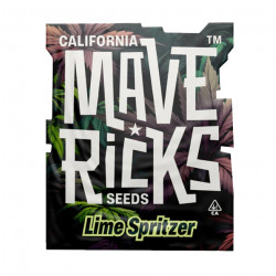 Lime Spritzer Auto autofem (Mvr)