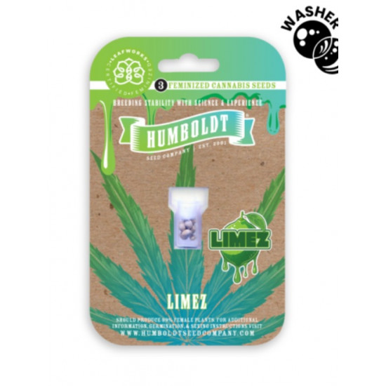 Limez Fem (HmbSC)