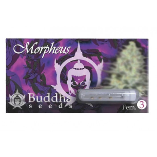 Morpheus fem (BudS) Morpheus fem (BudS)
