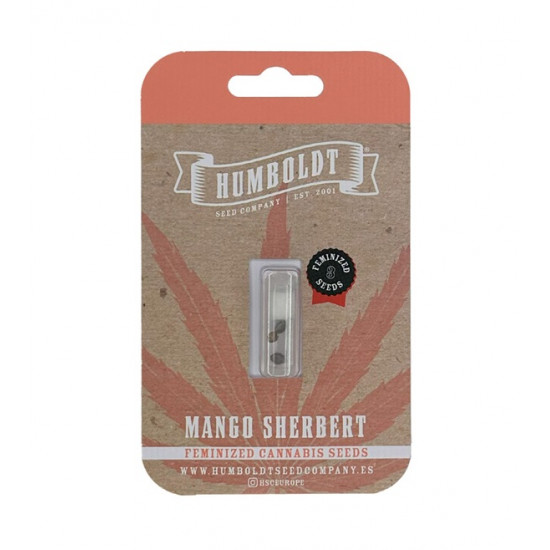 Mango Sherbert fem (HmbSCo)