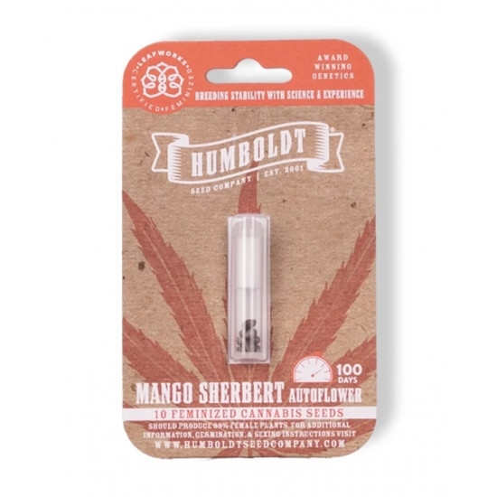 Mango Sherbert Auto (Feminised) autofem (HmbSC) Mango Sherbert Auto (Feminised) autofem (HmbSC)