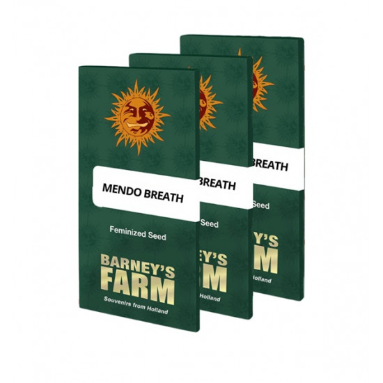 Mendo Breath fem (Brn) Mendo Breath fem (Brn)