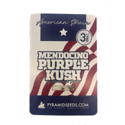 Mendocino Purple Kush fem (Py) NEW 2024