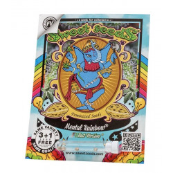 Mental Rainbow F1 fast version fem (SwS)