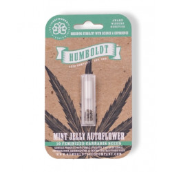 Mint Jelly Auto (Feminised) autofem (HmbSC)