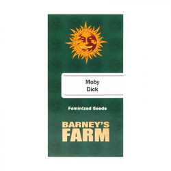 Moby Dick fem (Brn)
